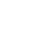 Leasing money bag icon